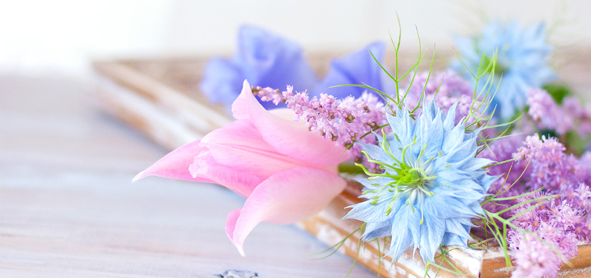 君津市南子安  耳鼻咽喉科 内科